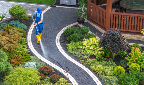 Why Choose Our Certified Pressure Washing Experts for Your Project Needs in Winchester, VA?